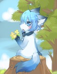 post